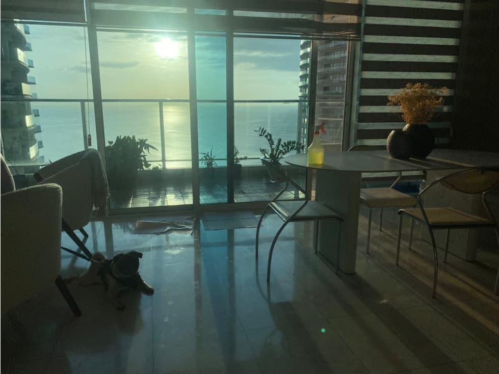 ALQUILER APARTAMENTO PUNTA PACIFICA — foto 6
