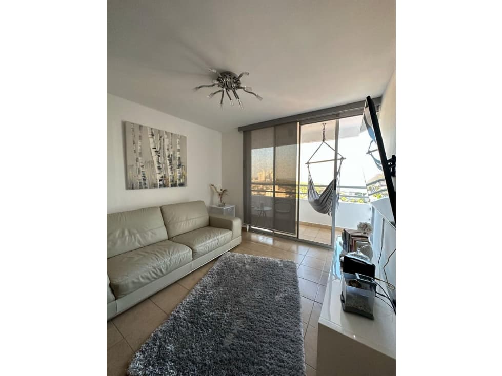 ALQUILER APARTAMENTO AMOBLADO PARQUE LEFEVRE — foto 1