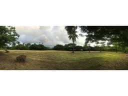 Se vende terreno plano de 27,470 m² en Punta Barco Viejo, San Carlos