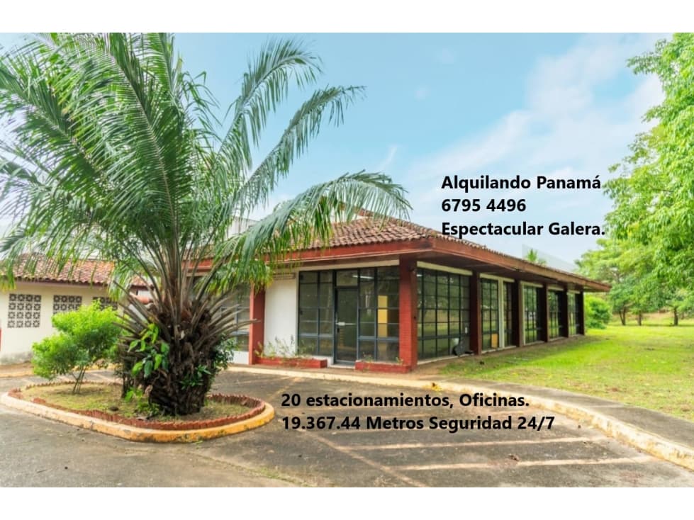 Se Alquila Amplia Bodega Área Total 19.368 Mts Vía Tocumen $19.368.oo — foto 6