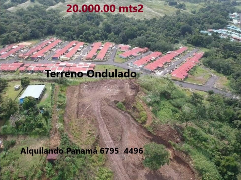 Se Vende Terreno 24.000 Mts2 en Pedregal $750,000,00 2,4Ha. — foto 2