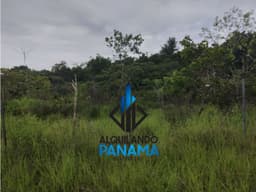 Se Vende Terreno 22,735Mts USD170,000,/San Carlos La Ermita