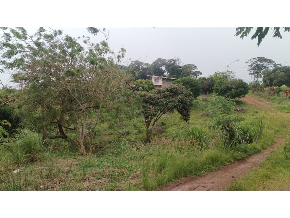 Terreno en Venta de 1,053.95 m² en Chicá de Chame — foto 4