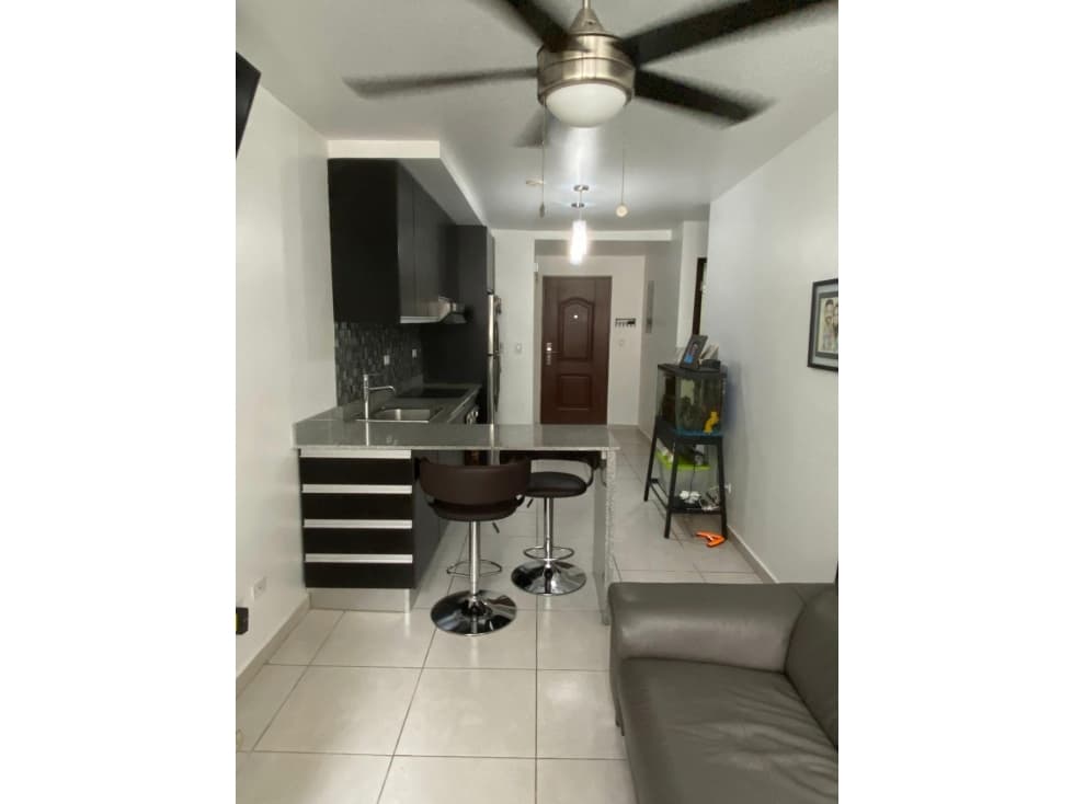 ALQUILER DE HERMOSO APARTAMENTO EN CALIDONIA — foto 1