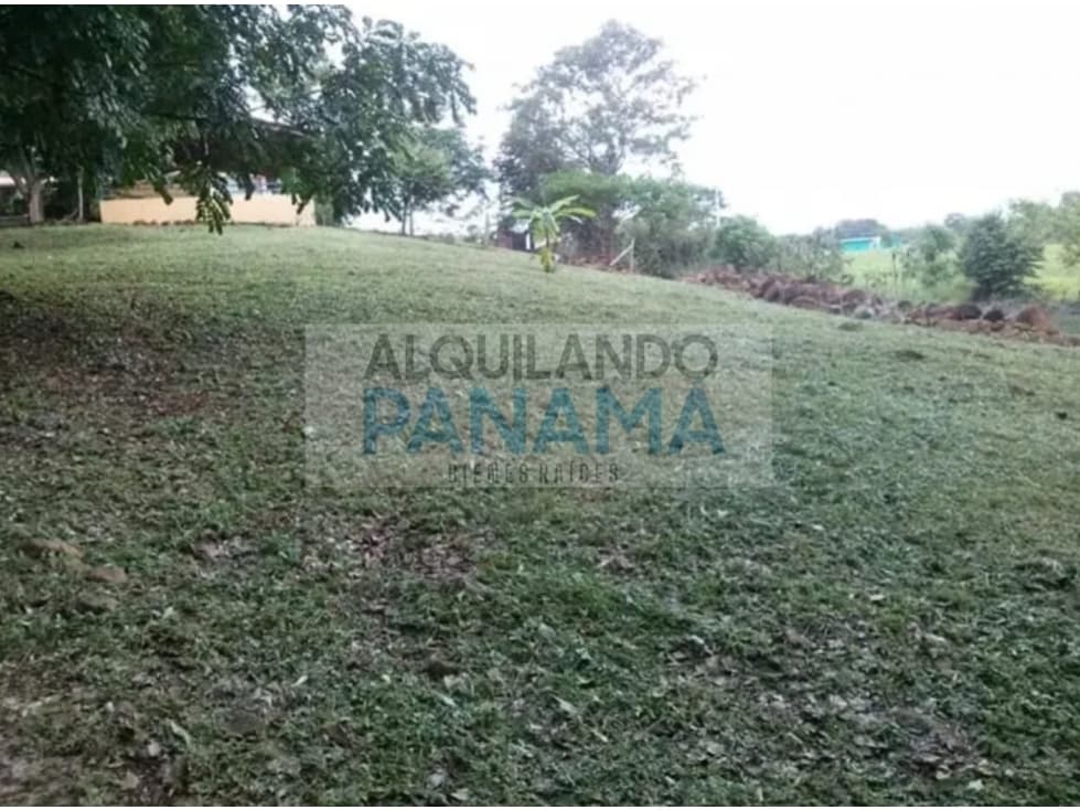 VENTA DE TERRENO EN CHAME — foto 2