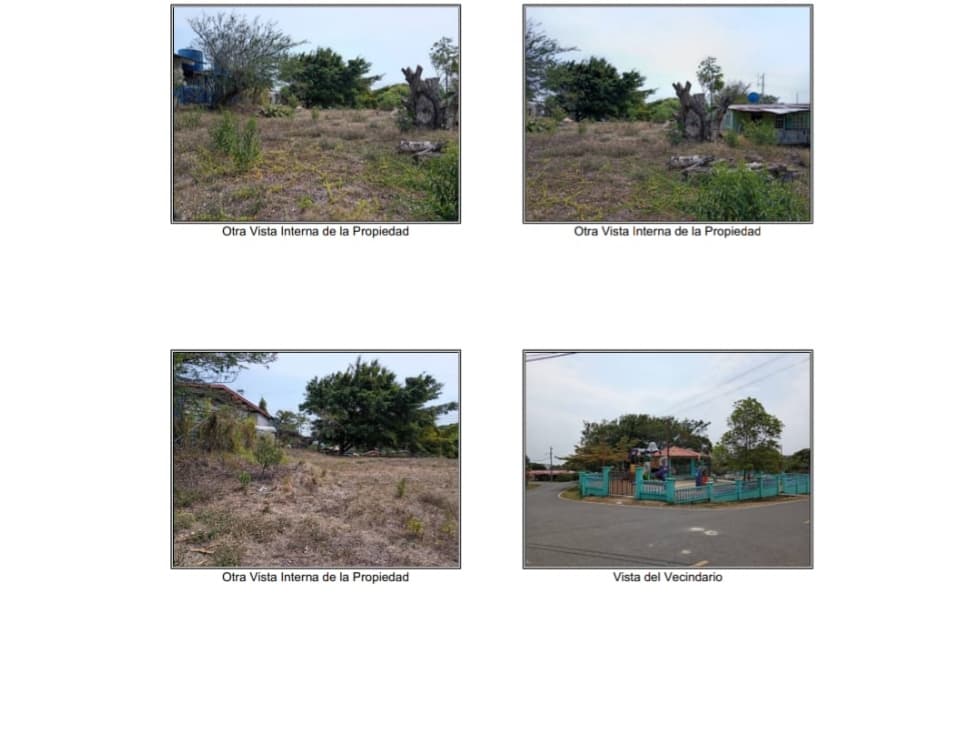 VENDO TERRENO EN CHAME — foto 5