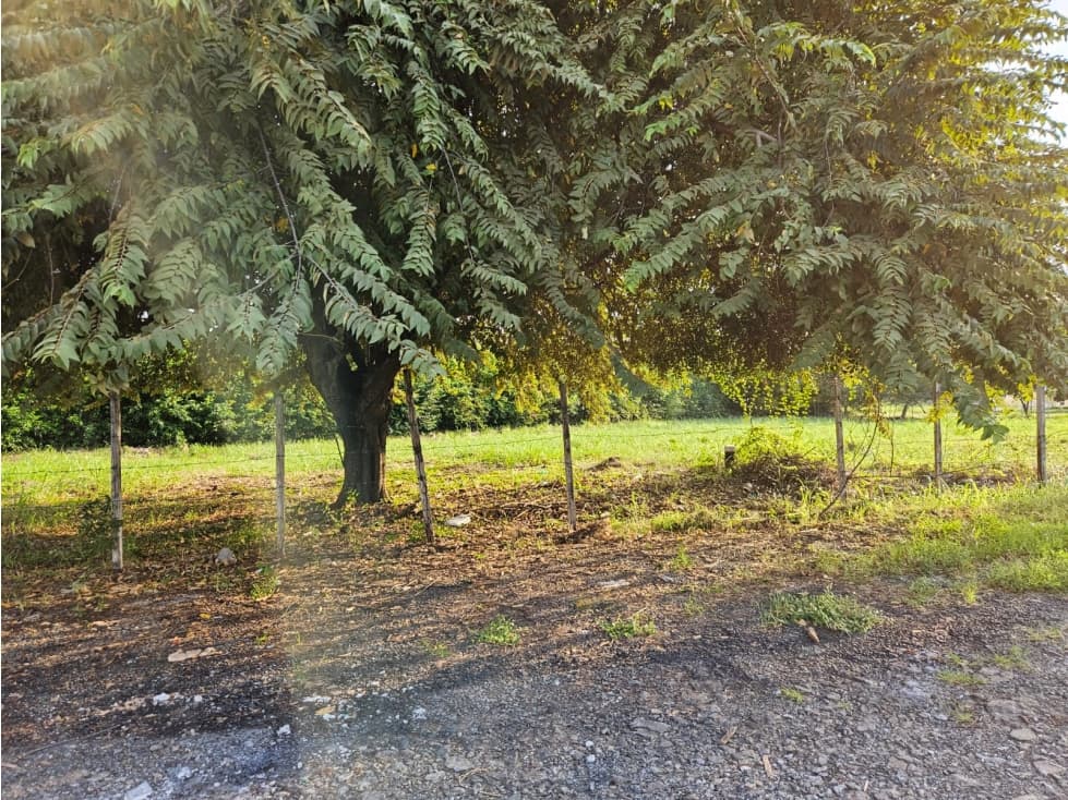 Venta de Terreno Plano en Coronado - Playa Serena. — foto 6