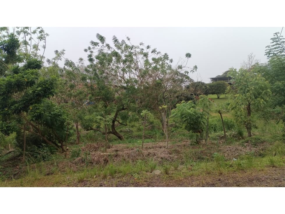 Terreno en Venta de 1,053.95 m² en Chicá de Chame — foto 6