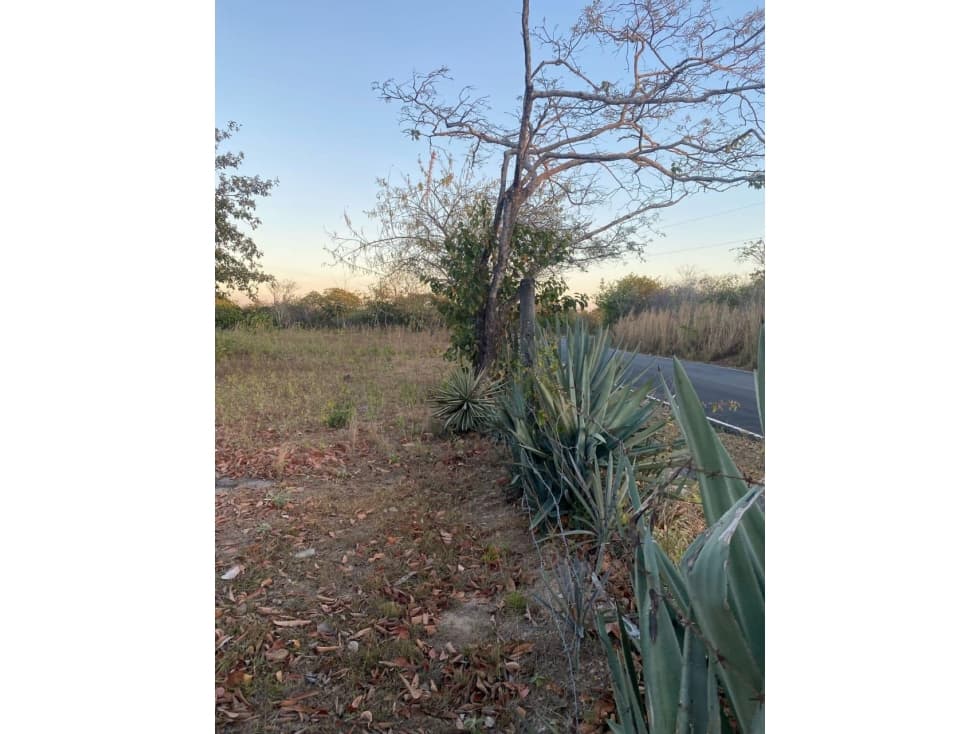 VENDO TERRENO EN COSTA ESPERALDA SAN CARLOS — foto 6