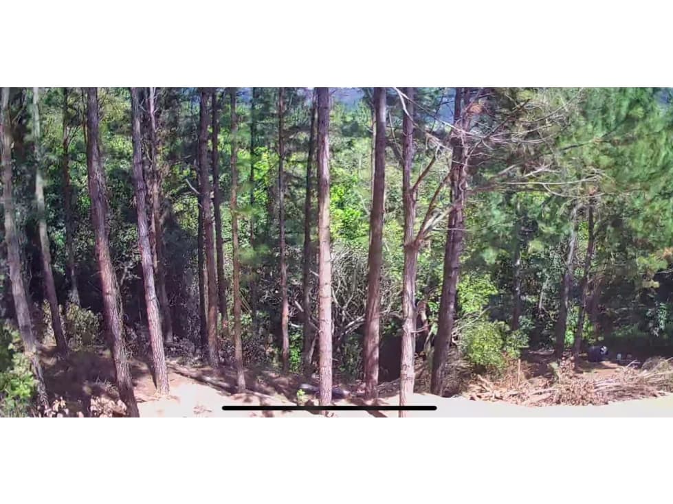 Terreno en venta en Altos del María, Chame — foto 5