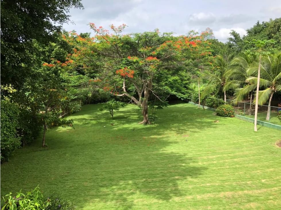 VENTA O ALQUILER DE CASA EN PLAYA CORONADO — foto 4