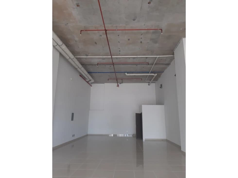 VENDO LOCAL COMERCIAL EN PARQUE LEFEVRE — foto 3