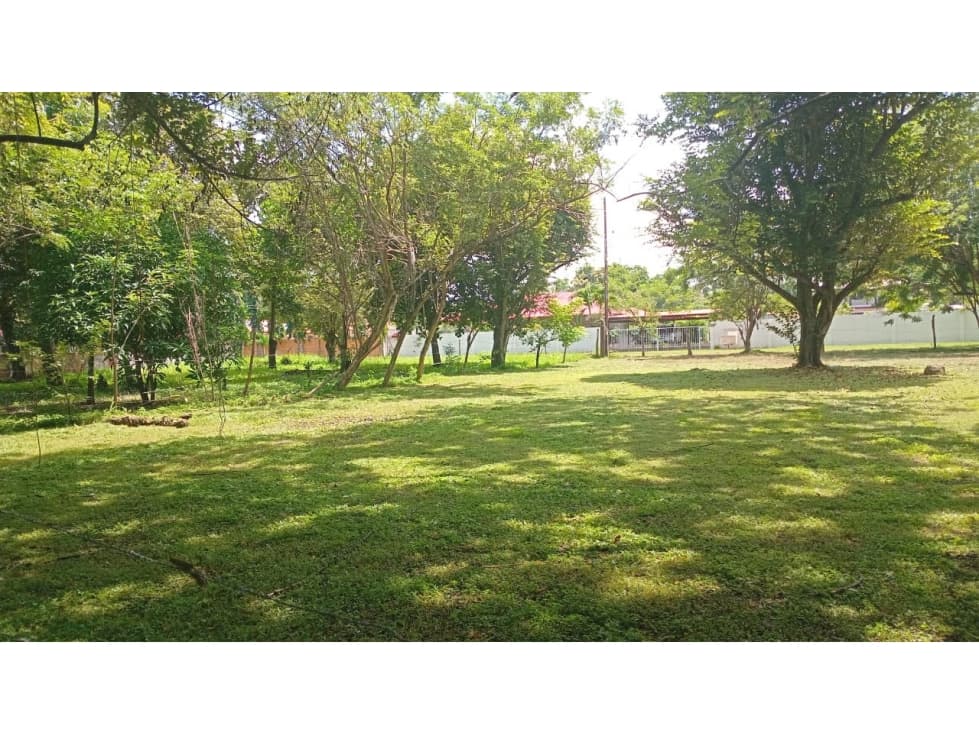 Terreno plano en venta de 1,000 m² en Gorgona, Chame — foto 3