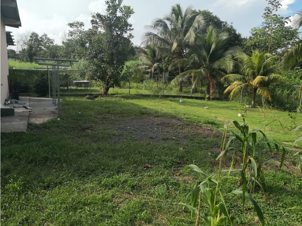 Se Venden Locales Comerciales Chorrera 633 mts $75.000.oo — foto 6