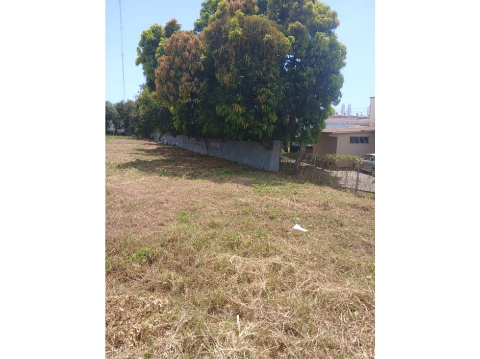 Se Alquila Terreno en Llano Bonito — foto 2