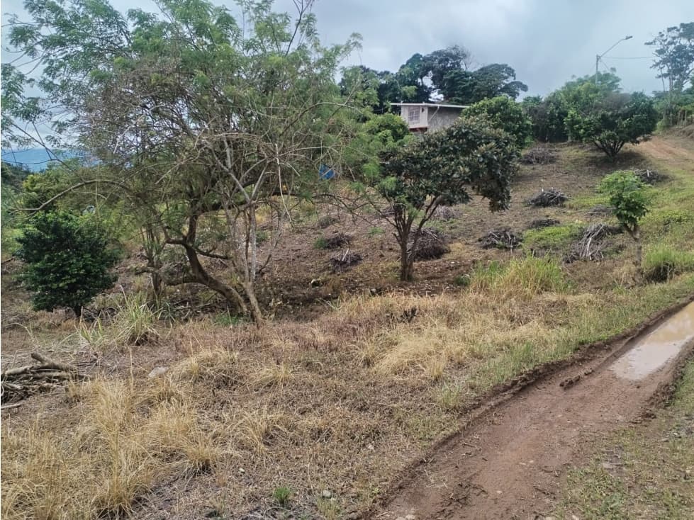 Terreno en Venta de 1,053.95 m² en Chicá de Chame — foto 3