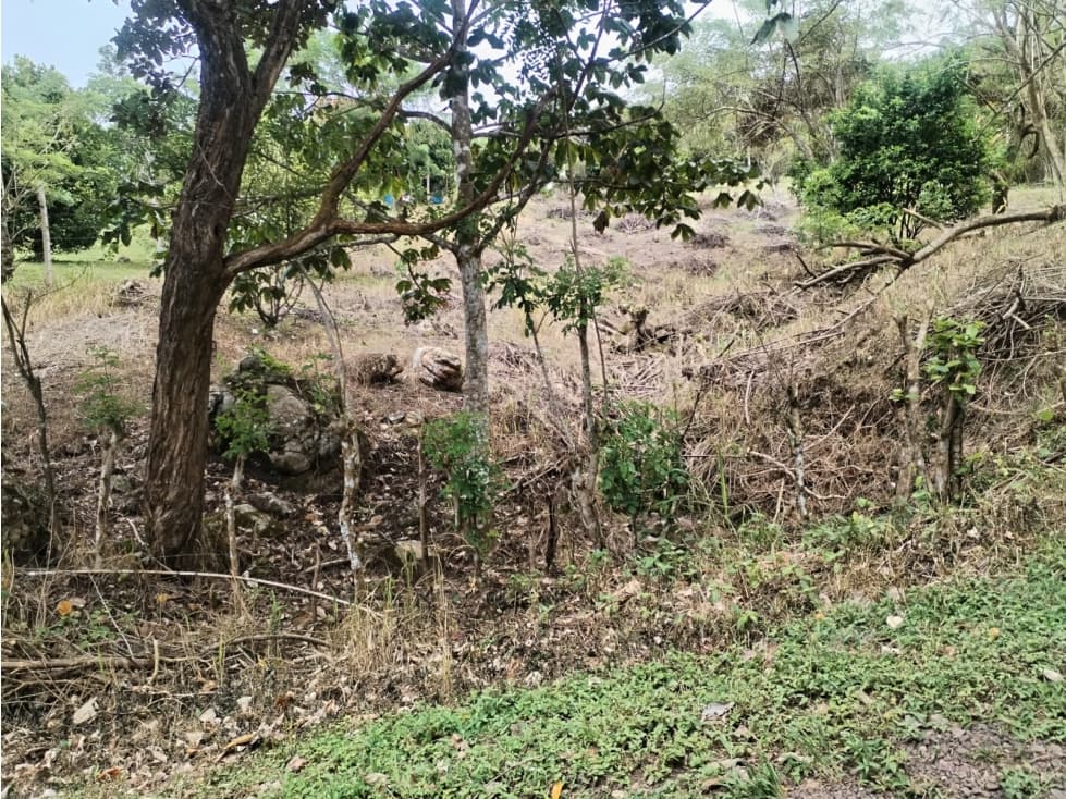 Terreno en Venta de 1,053.95 m² en Chicá de Chame — foto 5