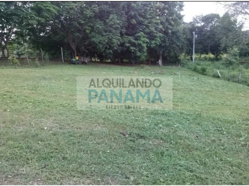VENTA DE TERRENO EN CHAME — foto 6