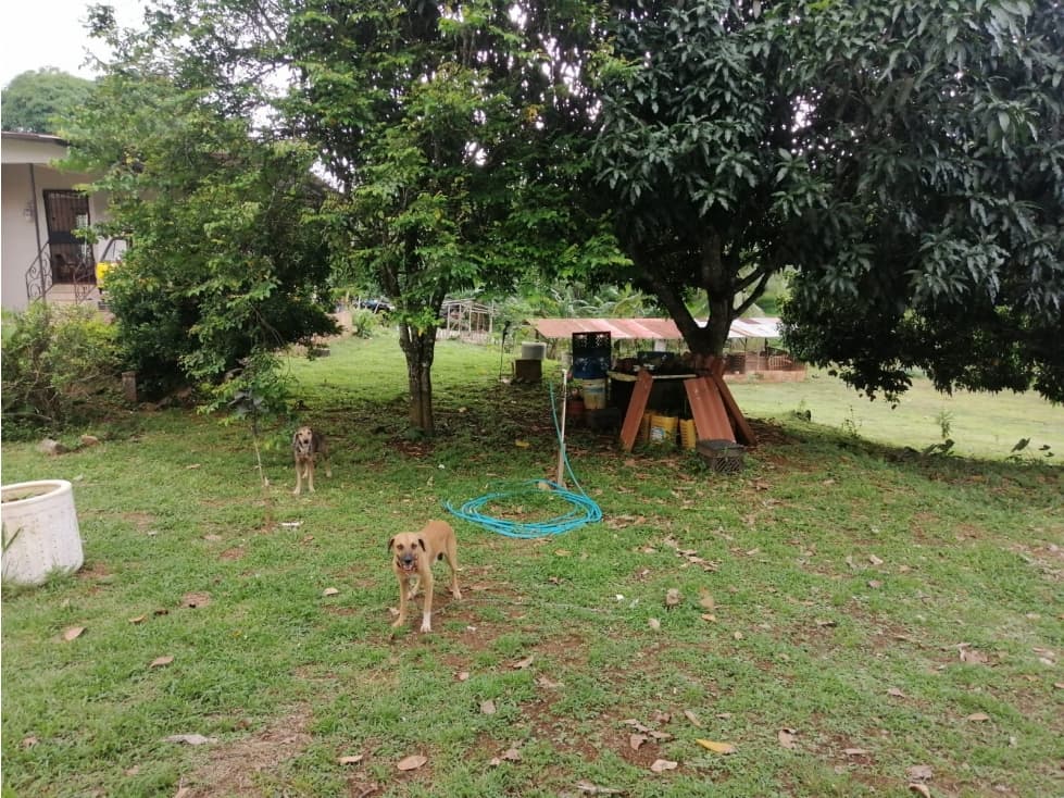 Se vende propiedad en Chilibre Calzada Larga — foto 6