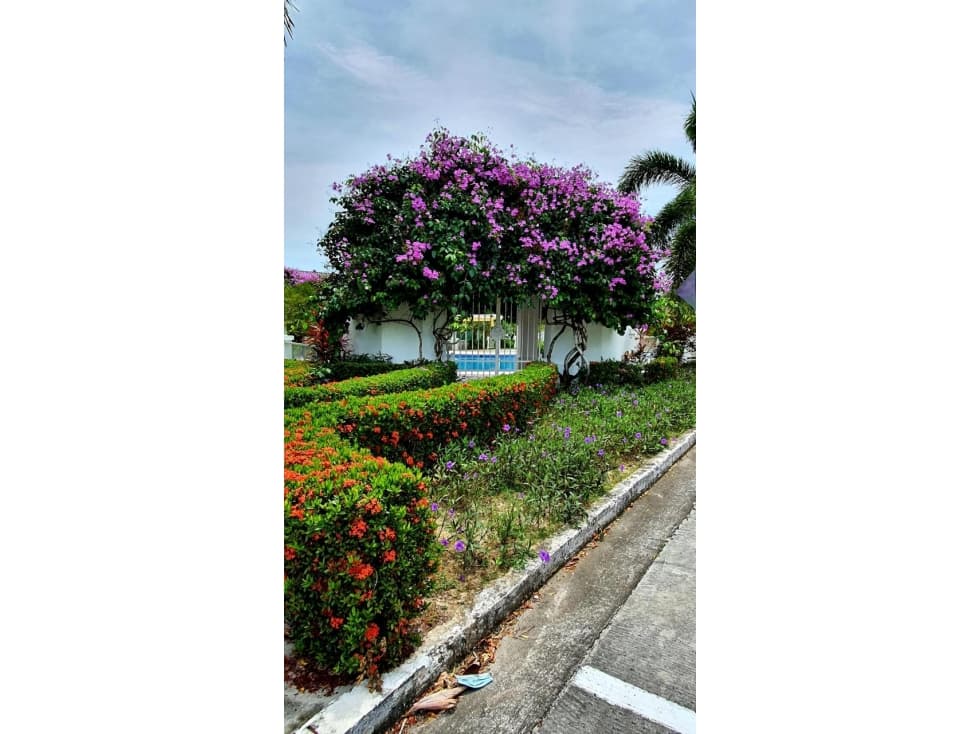 SE VENDE APARTAMENTO | PH BIJAO | RIO HATO — foto 5