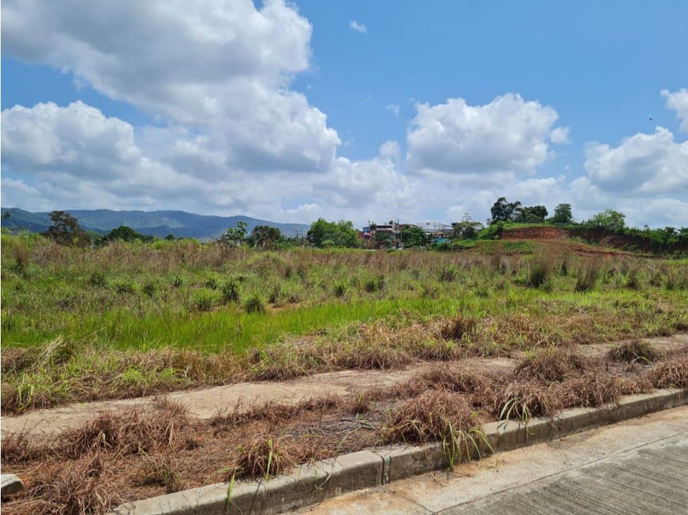 LOTE COMERCIAL PARA VENTA | TOCUMEN, PANAMA ESTE — foto 3