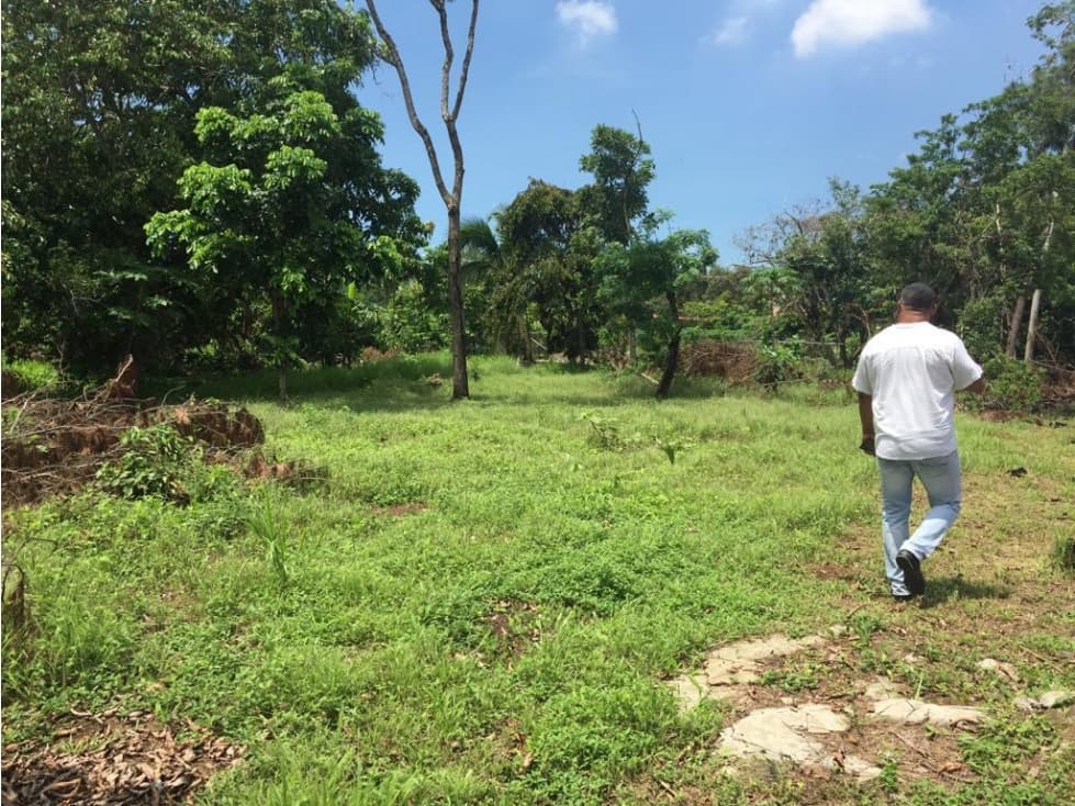 VENTA DE LOTE EN EL SECTOR EL COCO - LA CHORRERA — foto 5