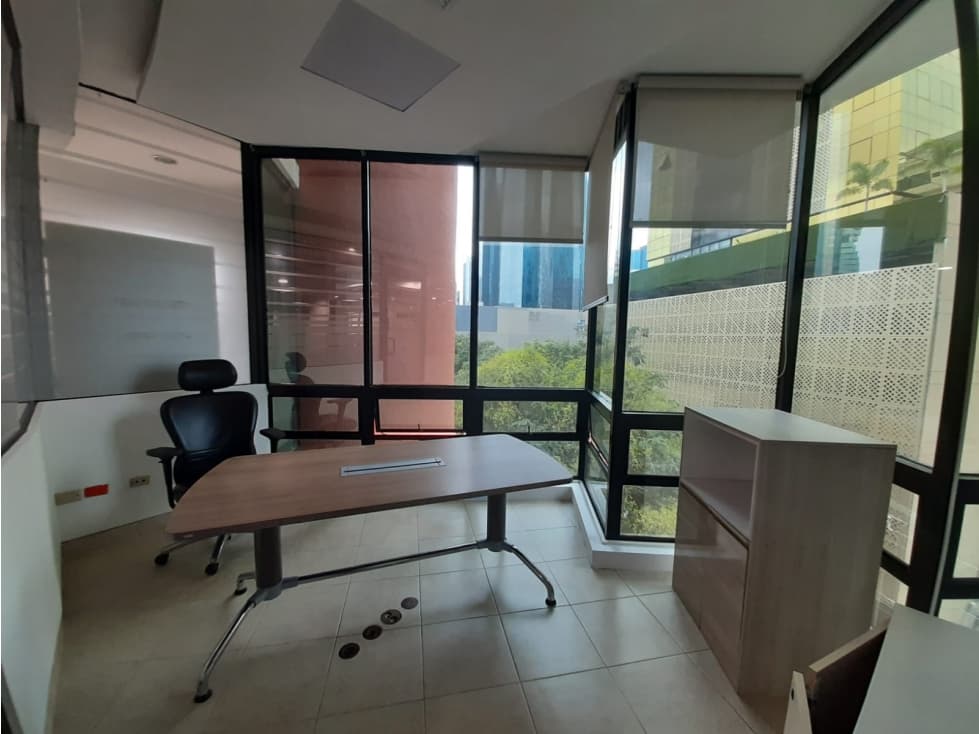 OFICINA REMODELADA Y EQUIPADA 715 M2 PLAZA GLOBUS, SAMUEL LEWIS — foto 4