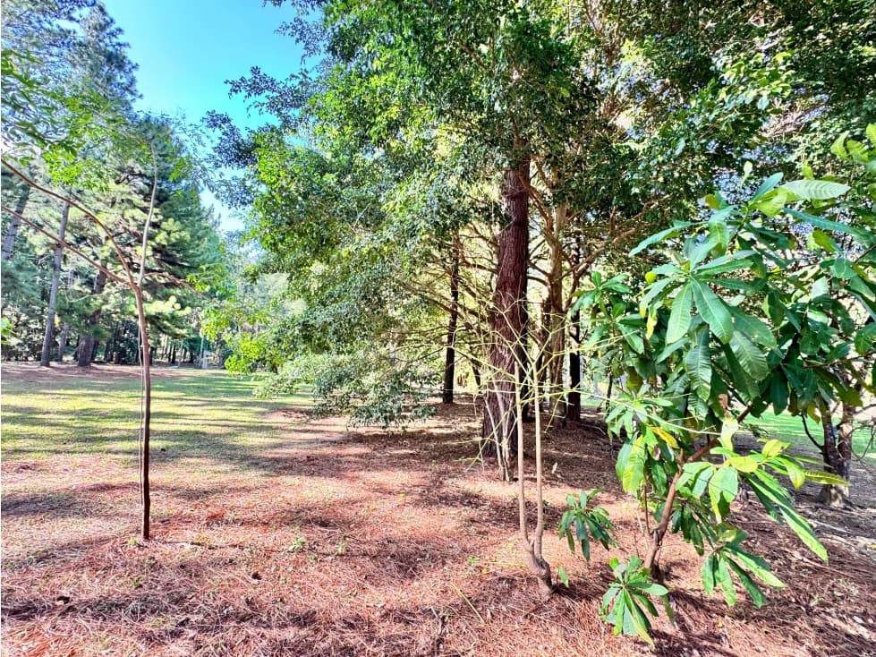VENTA DE TERRENO EN ALTOS DEL MARIA 1604M2 CV — foto 3