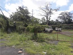 VENTA TERRENO CARRETERA PANAMERICANA CHAME 1118M2 MLD