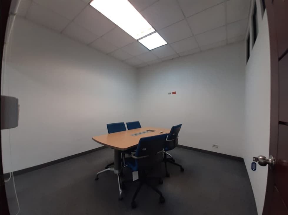 OFICINA EQUIPADA 440 M2 CON TERRAZA,PLAZA GLOBUS, SAMUEL LEWIS — foto 5