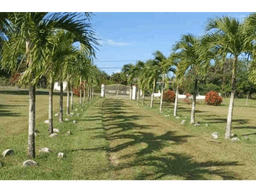 VENTA DE FINCA EN RÍO HATO, ANTÓN ÚNICA OPORTUNIDAD