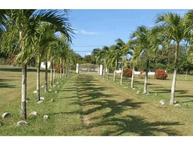 VENTA DE FINCA EN RÍO HATO, ANTÓN ÚNICA OPORTUNIDAD