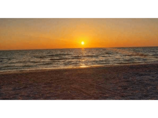 FOR RENT APARTMENT APARTMENTS IN EL PALMAR RESIDENCES SAN CARLOS