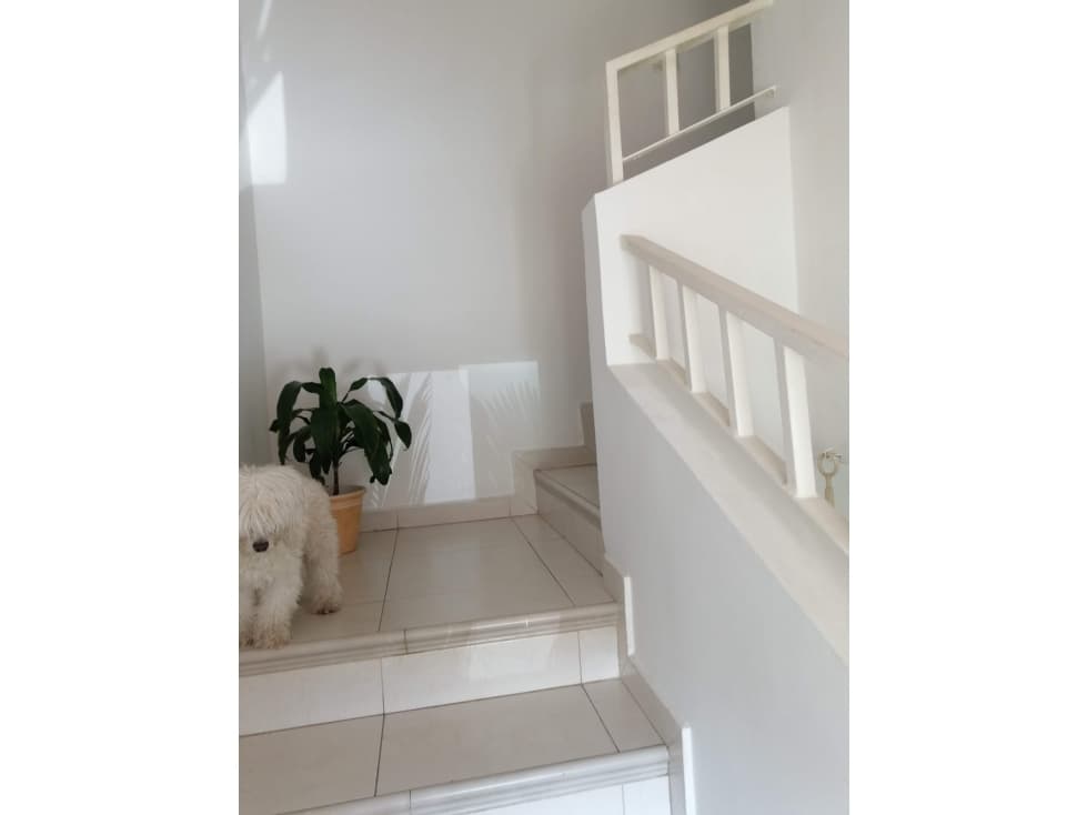VENTA DE HERMOSA CASA DUPLEX EN PASEO DE CANTABRIA — foto 6
