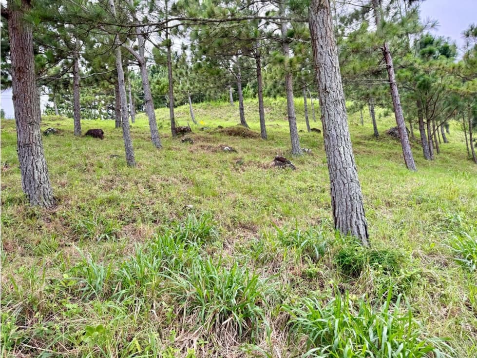 ALTOS DEL MARIA TERRENO 2200mt2 CV — foto 6