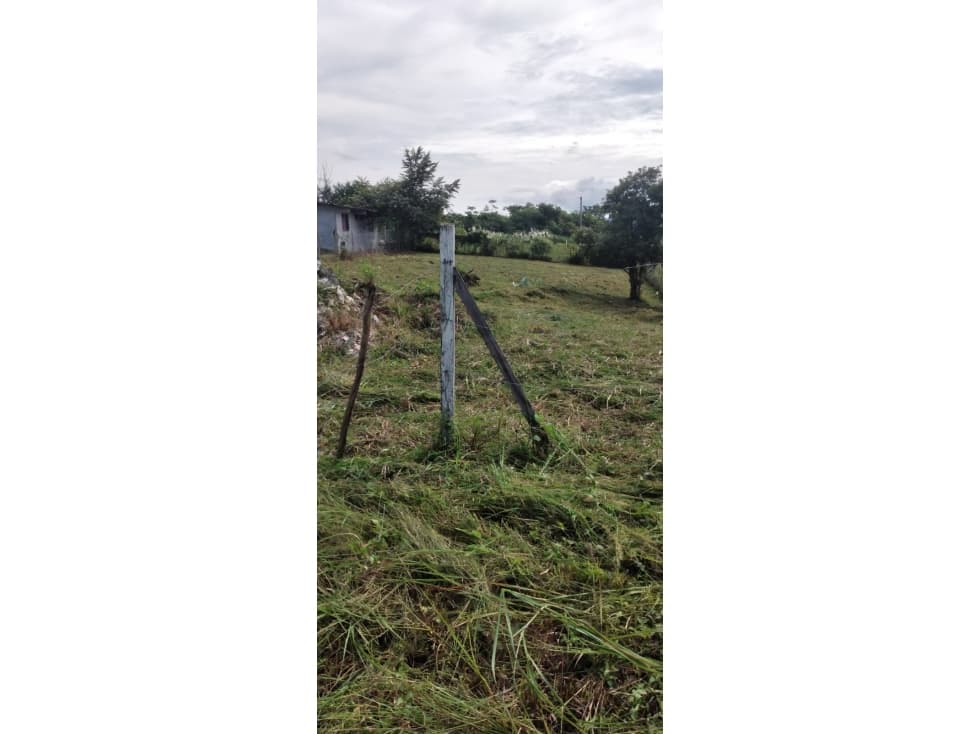 VENDO TERRENO 1000 M2 EN CHAME LAS LAJAS — foto 2