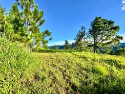 VENTA LOTE DE 2237 M2 EN SANTO DOMINGO, ALTOS DEL MARIA