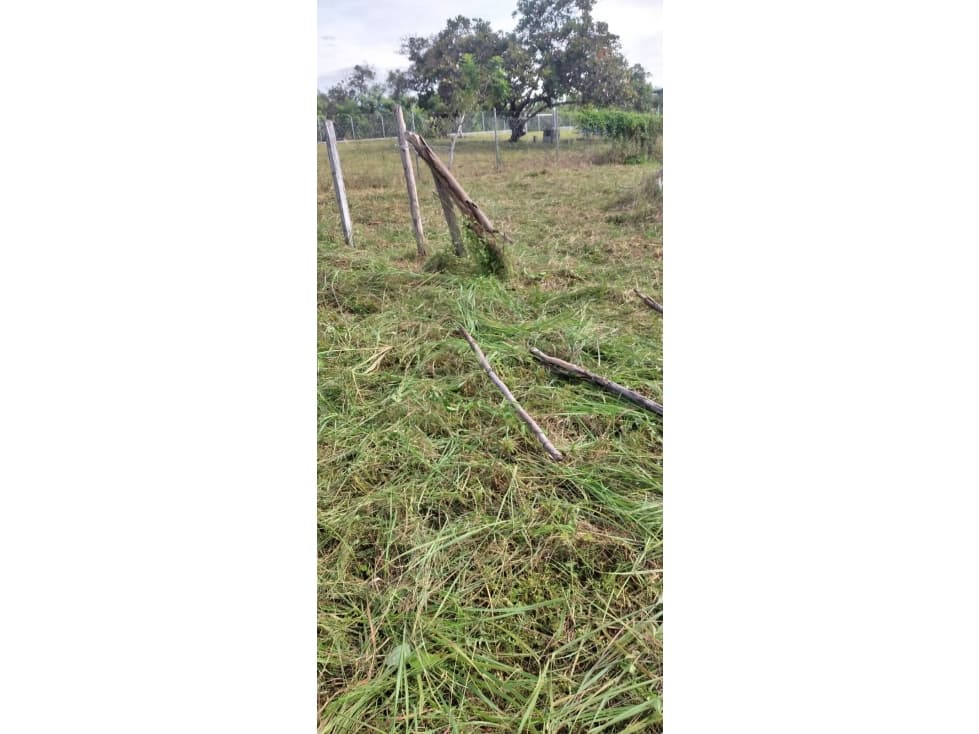 VENDO TERRENO 1000 M2 EN CHAME LAS LAJAS — foto 1