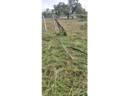 VENDO TERRENO 1000 M2 EN CHAME LAS LAJAS