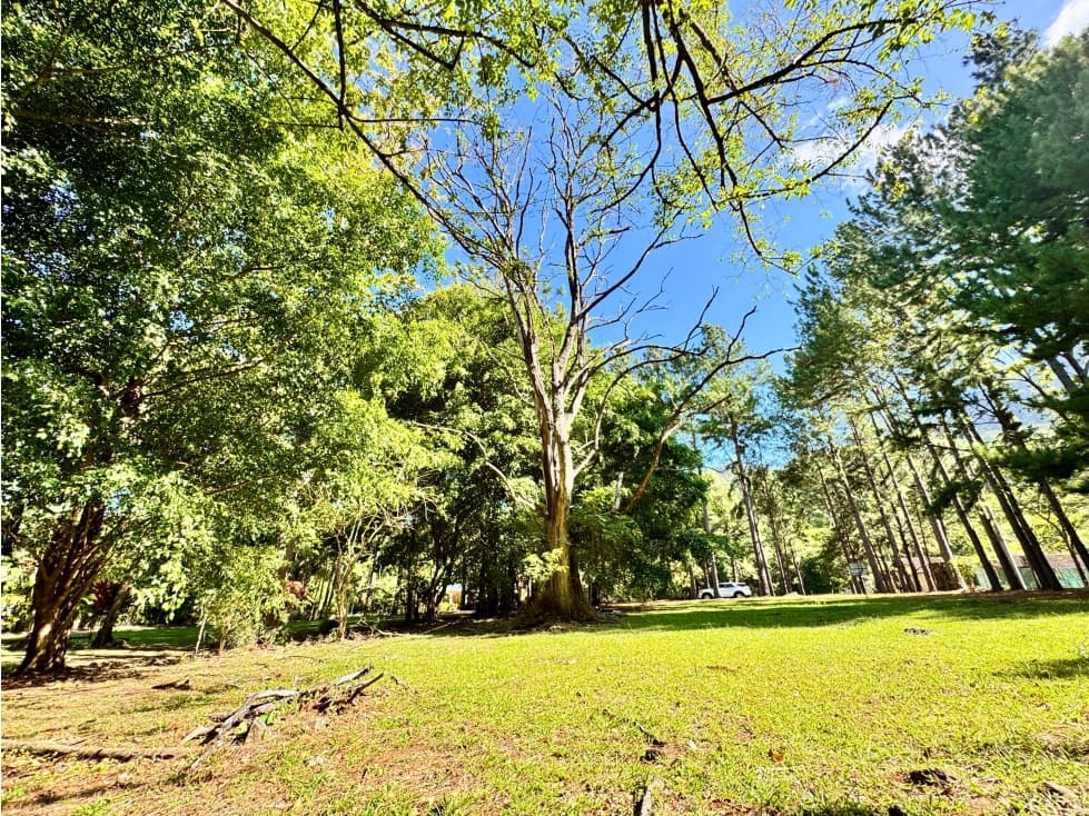 VENTA DE TERRENO EN ALTOS DEL MARIA 1604M2 CV — foto 1