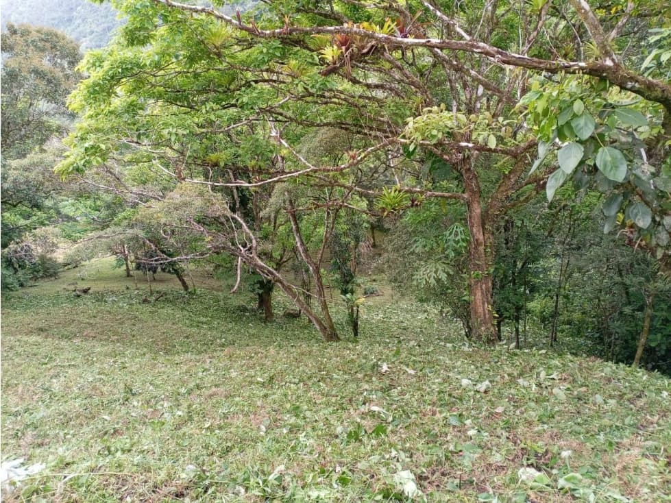 VENTA LOTE SANTIAGO APOSTOL ALTOS DEL MARIA CV — foto 2