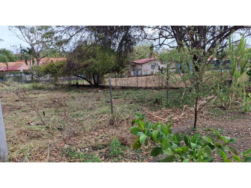 VENTA DE LOTE EN CORONADO 800M2 CV — foto 3