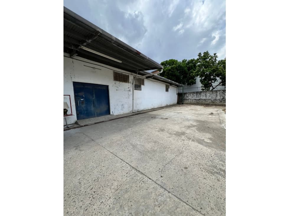 ALQUILER GALERA CARRASQUILLA 700M2 UBICACIÓN CENTRICA MLD — foto 4