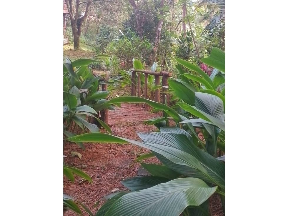 ALQUILER DE CASA EN LA MONTAÑA ALTOS DEL MARIA — foto 5