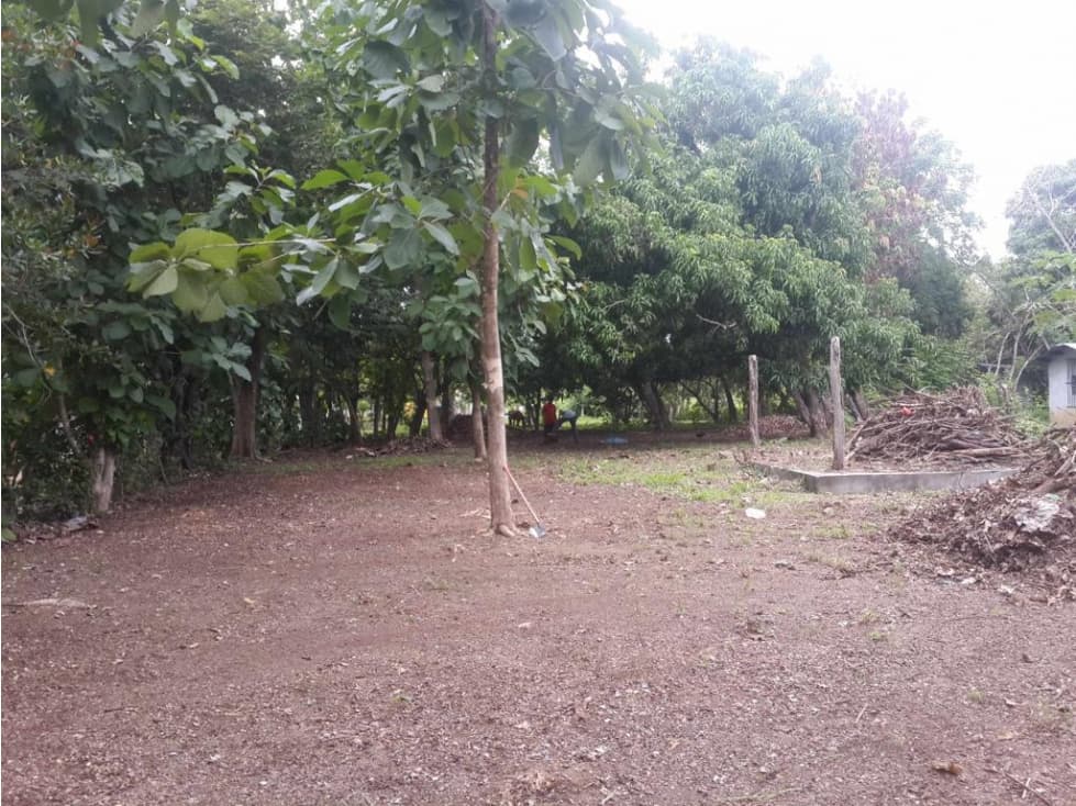 TERRENO EN BEJUCO DE 1460m2 — foto 1