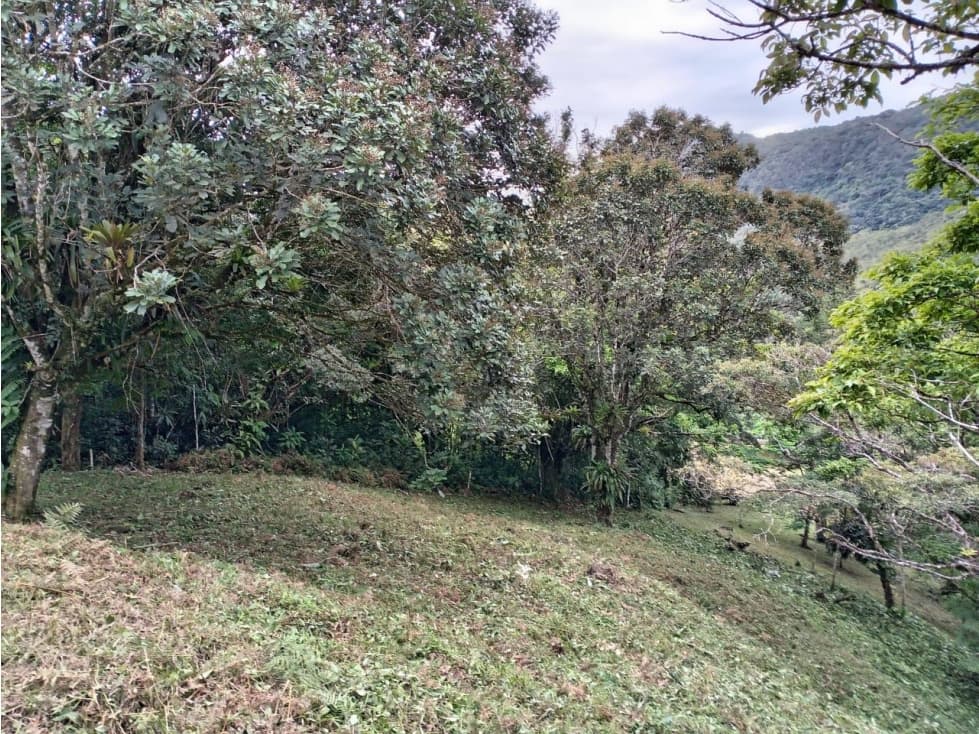 VENTA LOTE SANTIAGO APOSTOL ALTOS DEL MARIA CV — foto 6