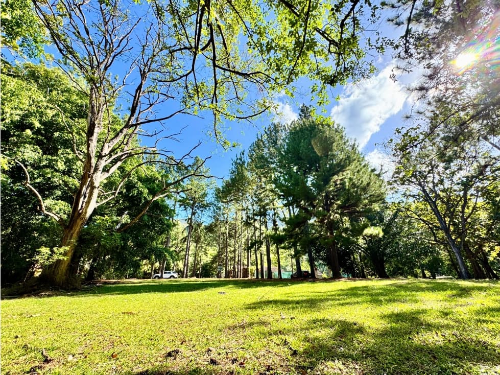 VENTA DE TERRENO EN ALTOS DEL MARIA 1604M2 CV — foto 2