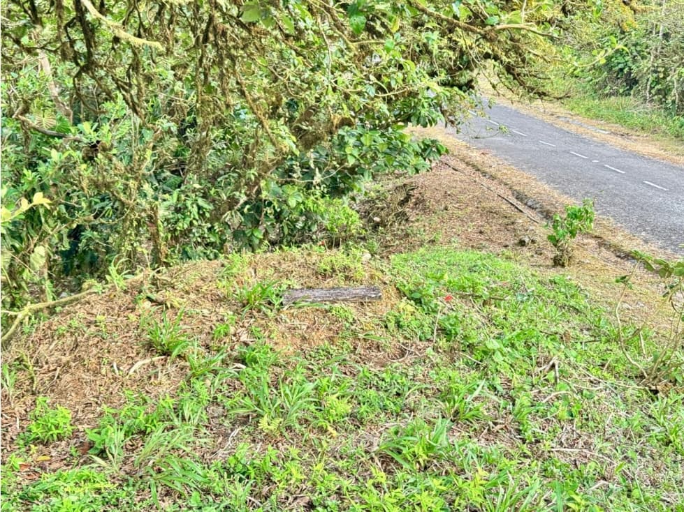 VENTA LOTE ALTOS DEL MARIA 4,241m² BOSQUES DE GALICIA CV — foto 4