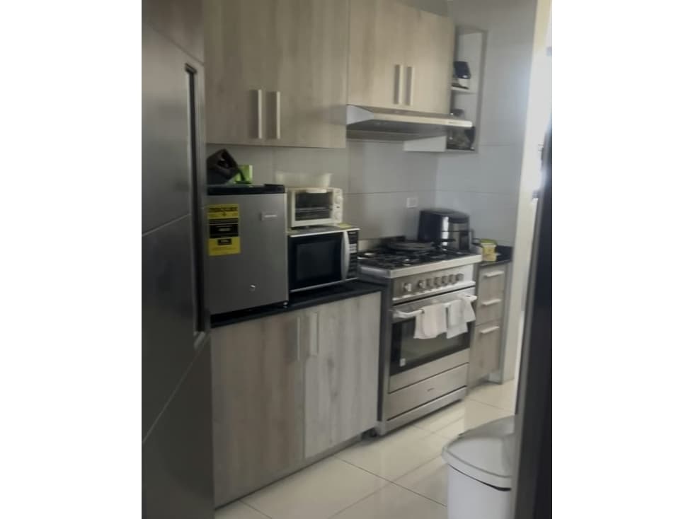 ALQUILER APARTAMENTO AMOBLADO PH CARRERAS TOWER — foto 4