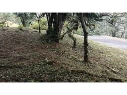 VENDO 2 LOTES ALTOS DEL MARÍA SECTOR SANTIAGO APÓSTOL 1225M2. $35M2 cv